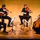 Godalni kvartet Furiant, Salon glasbenih umetnikov